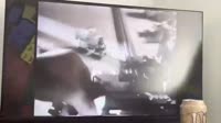 vcompress90.mp4