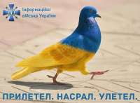 ципсо3.jpeg