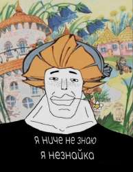 незнайка.jpg