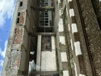 IMG4905.jpeg