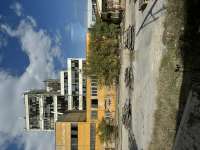 IMG4900.jpeg