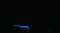IMG1744.mov