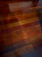 IMG6901.jpeg
