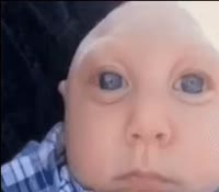 175632364304883098.mp4