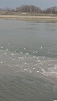 video2025-08-2914-03-26.mp4