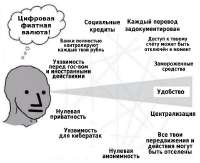 1741235768387-0.jpg