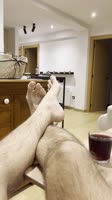 vcompress118.mp4