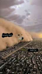IMG5231.jpeg