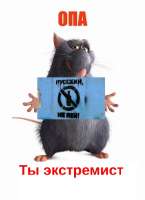 опа ты экстремист.png