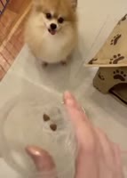Ярость.webm