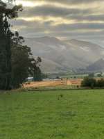 IMG9996-1748435896231.jpeg