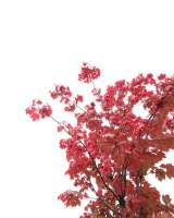 IMG-a6c12bb6a97df5b370b5f517d3b6ce0a-V.jpg