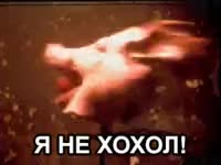 1709450059751.mp4