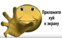 175753469807965437.jpg