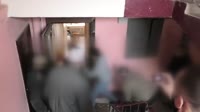 белка.mp4