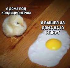 изображение.png