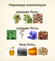 Без имени.png