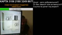 15774259816221.mp4
