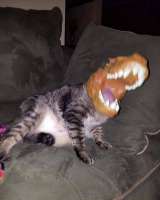 laugh 0717-58-19.jpg