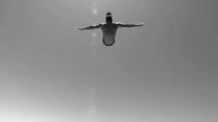 Allure Homme Sport Cologne.mp4