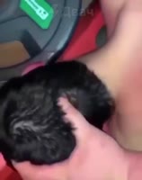 12.mp4