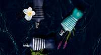 Jean Paul Gaultier Le Male.jpg