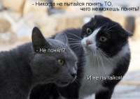 15714007744530.jpg