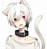 16178702341310.png