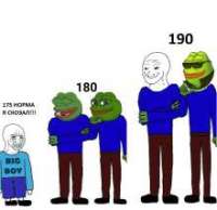 15329627330460s.jpg