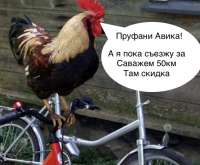 659E8281-29F2-41F5-8047-5F3555D82F6C.jpeg
