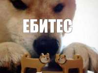 237f6d0e3160099bd5780921eff2acb4.jpg