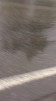 16229677716420.mp4