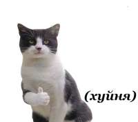 16066570032360.jpg