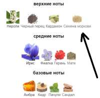 Безымянный.jpg