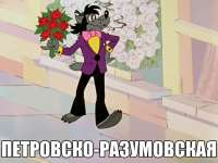 15992544486451.jpg