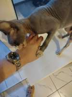 IMG20250421195943.jpg