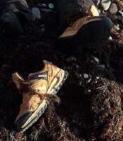 what shoes210.jpg