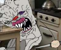 IMG8950.png
