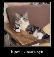 superrjakademotivator.gif