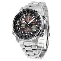 citizenpromasterskypmv6521696922322381015a4progressive.jpg