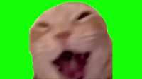 download.jpg