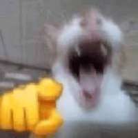 images.jpg