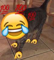 15397222082450.png
