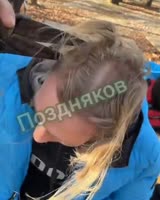 16815331949500.mp4