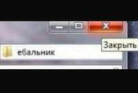 IMG9180.jpeg
