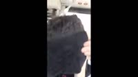 175232074440862710.webm