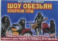 av3693.jpg