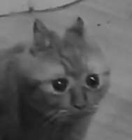 15390181958170.jpg