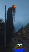 17507842467000.webp