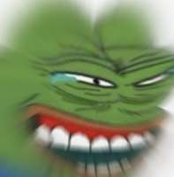 IMG6558.jpeg